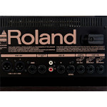 Roland AC 60 RW