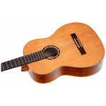 Ortega r122