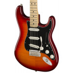 Fender Player Stratocaster Plus Top MN ACB