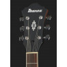 Ibanez AS53 TF