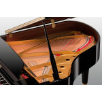 Kawai GL-30ATX2 E/P