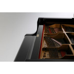 Kawai GL-30ATX2 E/P