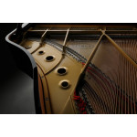 Kawai GL-30ATX2 E/P