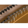 Kawai GL-30ATX2 E/P