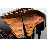 Kawai GL-50 E/P