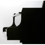 Kawai GL-50 E/P