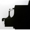 Kawai GL-50 E/P