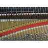 Kawai GL-50 E/P