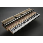 Kawai GL-50 E/P