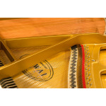 Kawai GL-10 WH