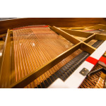 Kawai GL-10 WH