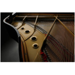 Kawai GL-10 E/P