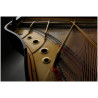 Kawai GL-10 E/P