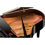 Kawai GL-10 E/P