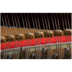 Kawai GL-10 E/P