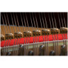 Kawai GL-10 E/P