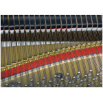 Kawai GL-10 E/P