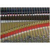Kawai GL-10 E/P