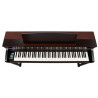 Kawai CA79 R