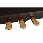 Kawai CA79 R