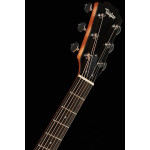 Taylor 214CE