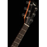 Taylor 214CE