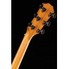 Taylor 214CE