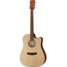 Ibanez PF10CE OPN