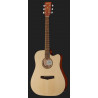 Ibanez PF10CE OPN