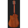 Ibanez PF10CE OPN