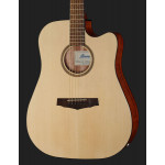 Ibanez PF10CE OPN