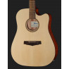 Ibanez PF10CE OPN