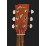 Ibanez PF10CE OPN