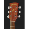 Ibanez PF10CE OPN