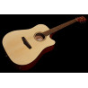 Ibanez PF10CE OPN