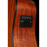 Ibanez PF10CE OPN