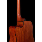 Ibanez PF10CE OPN