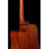 Ibanez PF10CE OPN