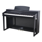 Artesia DP-150E BKHP