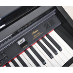 Artesia DP-150E BKHP