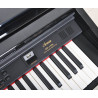 Artesia DP-150E BKHP