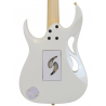Ibanez PIA3761-SLW Steve Vai Signature