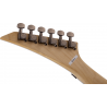 Jackson Pro Series Soloist SL2P FR MAH TBB