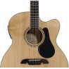Alvarez AJ 80 CE