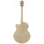 Alvarez AJ 80 CE