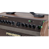 Fishman Loudbox Mini Charge