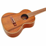 Kala KA-KTG Hawaiian Koa Tenor