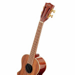 Kala KA-KTG Hawaiian Koa Tenor