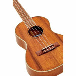 Kala KA-KTG Hawaiian Koa Tenor