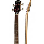 Epiphone Embassy Bass SAM